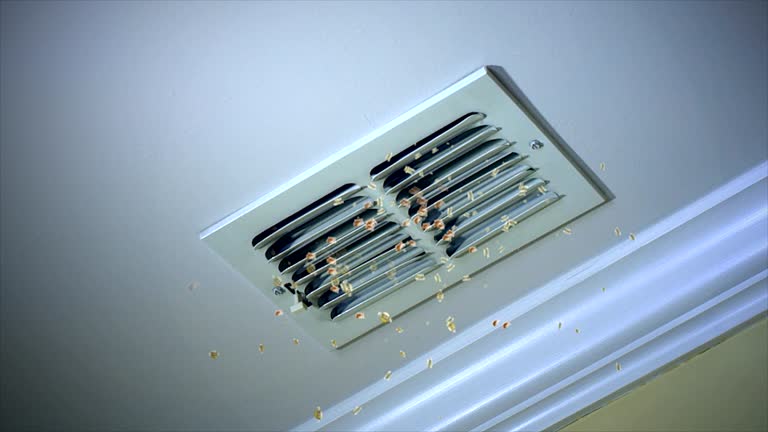 Best Home Air Vent Cleaning  in Griswold, IA