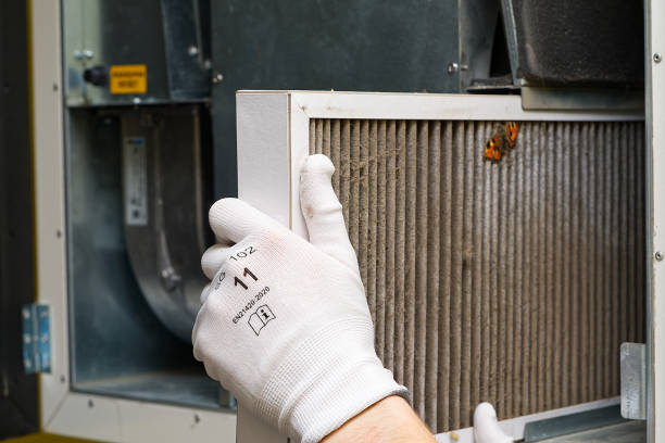 Best Best Air Duct Cleaning Company  in Griswold, IA