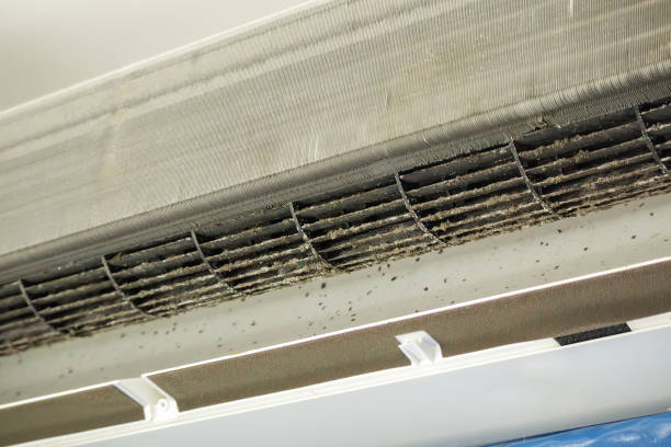 Best Air Duct Cleaning Near Me  in Griswold, IA